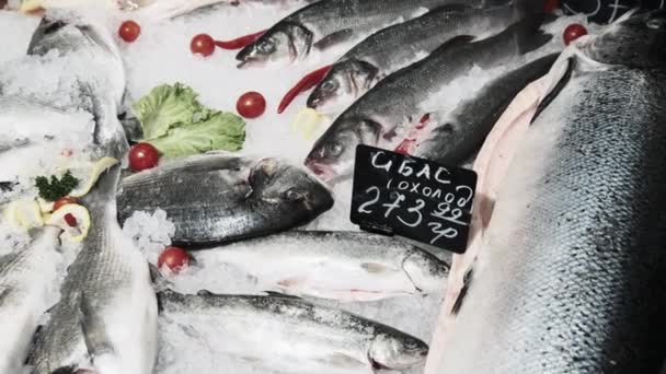 Lot de poissons frais de bar de mer repose sur la glace dans une vitrine de supermarché, fruits de mer congelés — Video