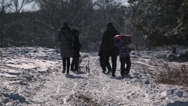 Glad ung familie med slæde børn går i vinterskoven – Stock-video