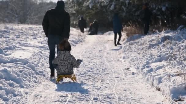 Ojciec sandacza swoją córkę w śniegu w słonecznym lesie zimowym. — Wideo stockowe