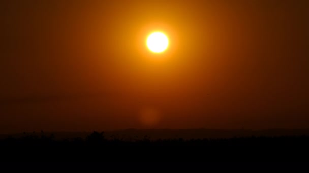 Pôr do sol no céu sobre o horizonte, o sol amarelo brilhante grande move-se para baixo acima da floresta — Vídeo de Stock