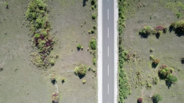 Vista aérea superior de una carretera de asfalto vacía en la meseta entre campos verdes — Vídeos de Stock