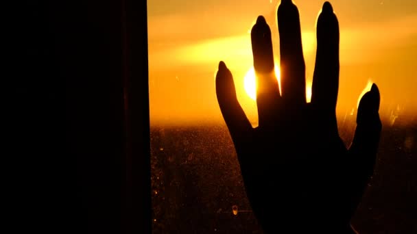 Silueta mano femenina en la ventana de vidrio contra la puesta del sol, rayos de sol entre los dedos — Vídeos de Stock