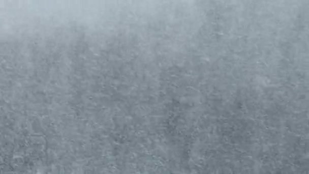 Сильный снегопад на фоне зимнего леса, снежной бури, метели — стоковое видео
