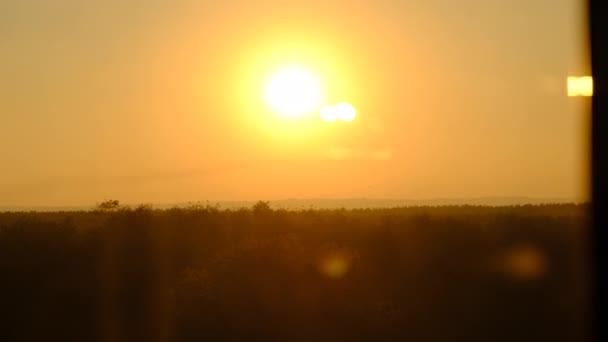 Pôr do sol no céu sobre o horizonte, o sol amarelo brilhante grande move-se para baixo acima da floresta — Vídeo de Stock
