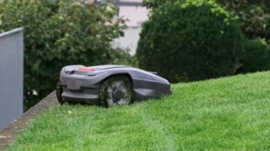 Robotik Çim Biçme Makinesi Çimlerin Çimlerini Geçiyor, Robot Arka Bahçedeki Yeşil Çimi Kesiyor