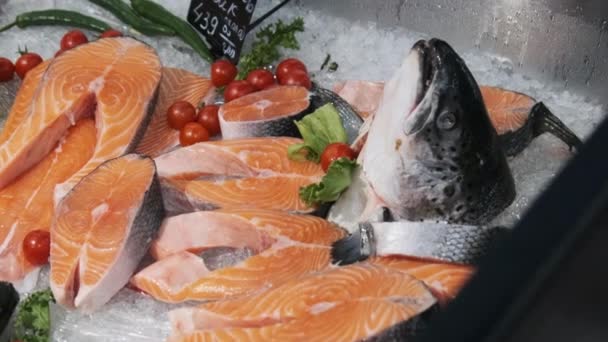 Composition of Trout and Salmon Steaks Lies on Ice in Showcase of Supermarket — Αρχείο Βίντεο