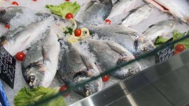 Un montón de pescado fresco de la lubina se encuentra en el hielo en un escaparate de supermercado, mariscos congelados — Vídeo de stock