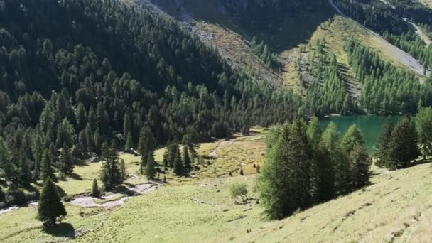 Dolina górska z Alpejskim Jeziorem Palpuogna w Albulapass, Alpy Szwajcarskie — Wideo stockowe