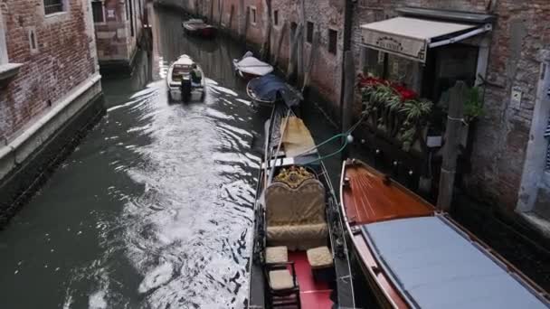 Enge Kanäle von Venedig mit Gondeln, die auf dem Wasser zwischen bunten Häusern schweben — Stockvideo