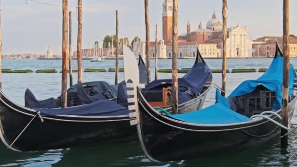 Gondole vuote ormeggiate su pali di legno, Venezia, Italia. — Video Stock