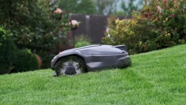 Robotic Lawn Mower Moving Across Lawn, Robot Cuts Green Grass in the Backyard — 비디오