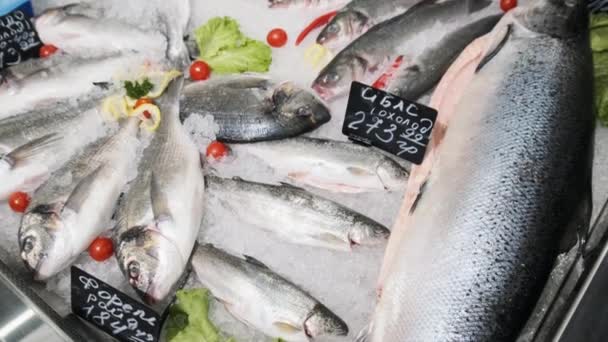 Un montón de pescado fresco de la lubina se encuentra en el hielo en un escaparate de supermercado, mariscos congelados — Vídeos de Stock