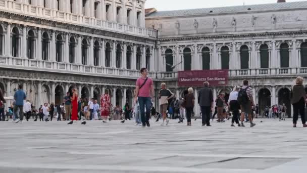 Mulțime de oameni care merg în Piazza San Marco în Veneția, Italia, vedere panoramică — Videoclip de stoc