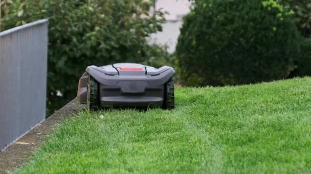 Cortador de grama robótico que se move através do gramado, robô corta grama verde no quintal — Vídeo de Stock