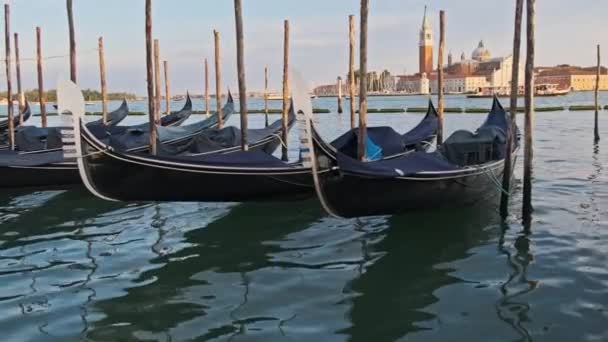 Góndolas vacías atracadas en pilotes de madera, Venecia, Italia. — Vídeos de Stock