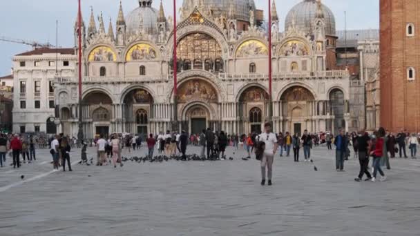 Tłum ludzi spacerujących na Piazza San Marco w Wenecji, Włochy, Widok panoramiczny — Wideo stockowe