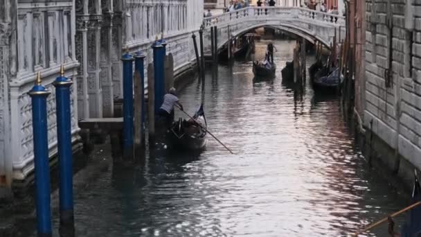 Узкие каналы Венеции с гондолами, плавающими на воде между красочными домами — стоковое видео