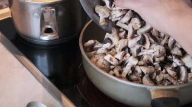 Mantarlar ev mutfağında bir tavada kızartılıyor, Julienne mantarları pişiriliyor.