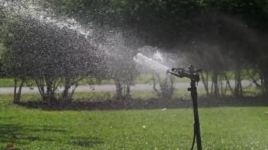 Yeşil Bahçede Otomatik Çim Fıskiyesi Yavaş Çekimde Sulama Çimeni