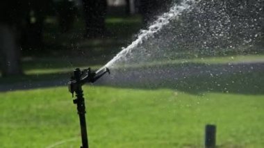 Yeşil Bahçede Otomatik Çim Fıskiyesi Yavaş Çekimde Sulama Çimeni
