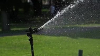 Yeşil Bahçede Otomatik Çim Fıskiyesi Yavaş Çekimde Sulama Çimeni