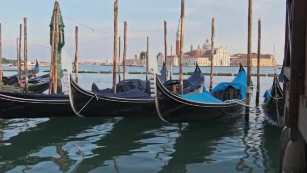 Gondolele goale andocate pe grămezi de ancorare din lemn, Veneția, Italia. — Videoclip de stoc