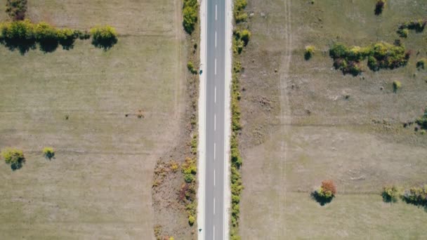 Top Aerial View of an Empty Asphalt Road on the Plateau Between Green Fields — Αρχείο Βίντεο