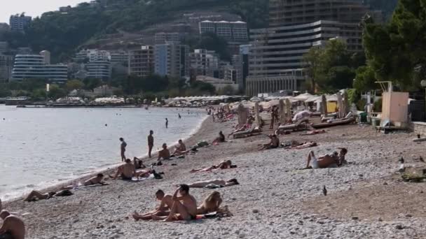 サンラウンジャーと人々と海でブドヴァビーチ,モンテネグロ海岸 — ストック動画