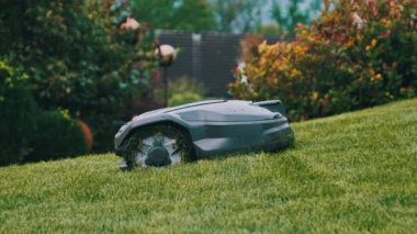 Robotik Çim Biçme Makinesi Çimlerin Çimlerini Geçiyor, Robot Arka Bahçedeki Yeşil Çimi Kesiyor