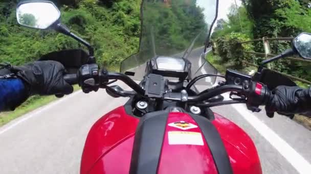 POV Biker Rides na motocyklu przez zalesione Mountain Road we Włoszech — Wideo stockowe