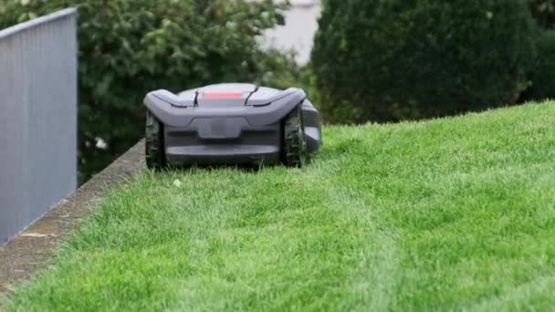 Robotmaaier beweegt over gazon, robot maait groen gras in de achtertuin — Stockvideo