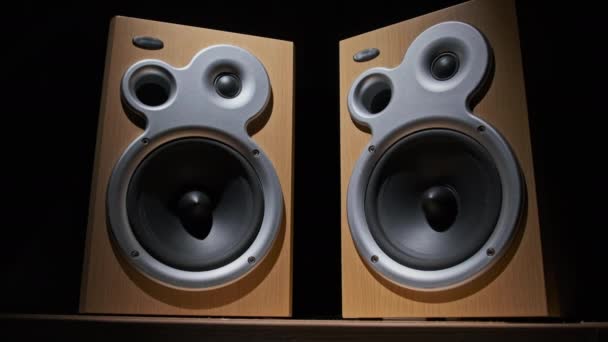 Audio-Lautsprecher vibrieren in Zeitlupe vom Sound-Bass auf schwarzem Hintergrund — Stockvideo