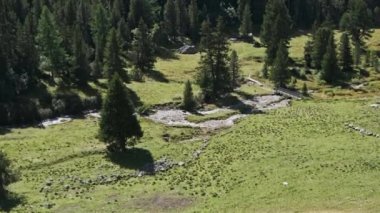 Albulapass 'ta Alp Dağları dereleri olan Dağ Vadisi, İsviçre Alpleri