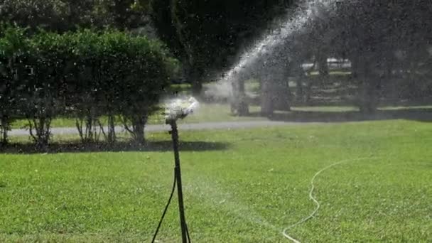 Автоматический Lawn Sprint в зеленом саду поливает в медленном движении — стоковое видео
