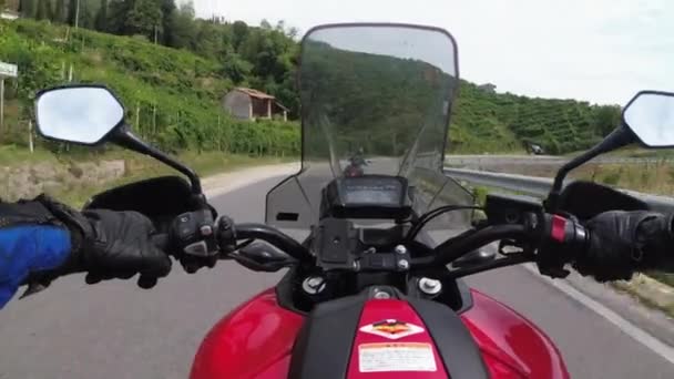 POV Biker fährt auf einem Motorrad zwischen Weinfeldern in Italien, Land — Stockvideo