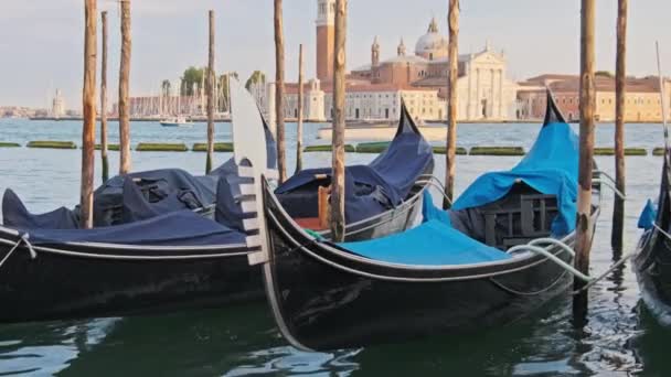 Docked Empty Gondolas on Wooden Mooring Piles, Velence, Olaszország. — Stock videók