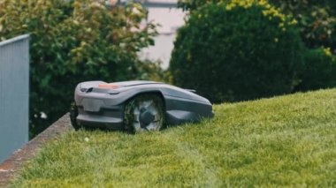 Robotik Çim Biçme Makinesi Çimlerin Çimlerini Geçiyor, Robot Arka Bahçedeki Yeşil Çimi Kesiyor
