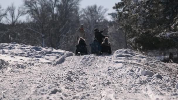 Счастливая молодая семья с детьми на санках гуляет по зимнему лесу — стоковое видео