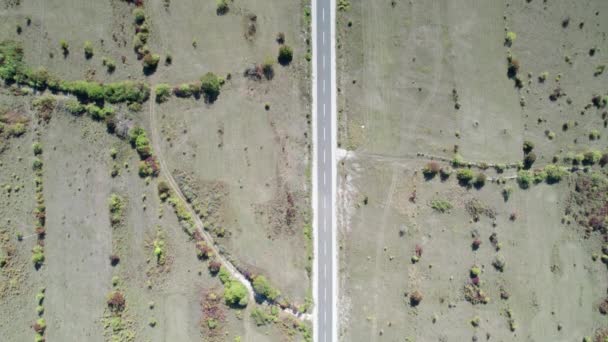 Vista aérea superior de una carretera de asfalto vacía en la meseta entre campos verdes — Vídeo de stock