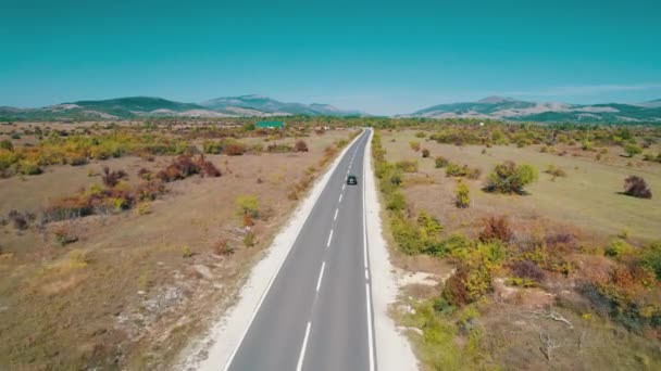 Pusta droga asfaltowa na płaskowyżu między polami zielonymi, widok z lotu ptaka — Wideo stockowe