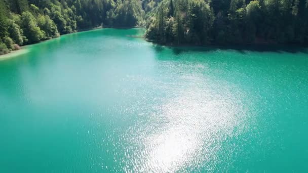克罗地亚国家公园的小湖泊空中景观，清洁的自然 — 图库视频影像