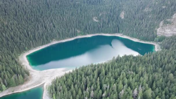 Aerial view Black Lake in Montenegro, Mountain Crno Jezero in Durmitor Park — Stock Video