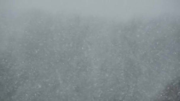 Zware sneeuwval op de achtergrond van het Winterwoud, Sneeuwstorm, Blizzard — Stockvideo