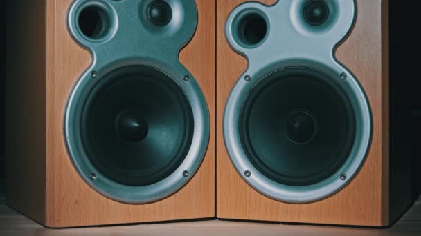 Twee Audio Speakers Vibreren vanuit Sound Bass in Slow Motion, Stereo, Close-up — Stockvideo