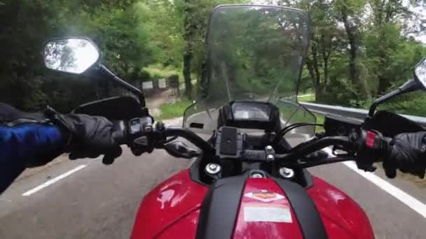 POV Biker fährt auf einem Motorrad durch bewaldete Bergstraße in Italien — Stockvideo