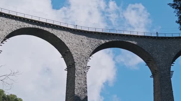 Viaducto Landwasser en los Alpes suizos en verano — Vídeo de stock