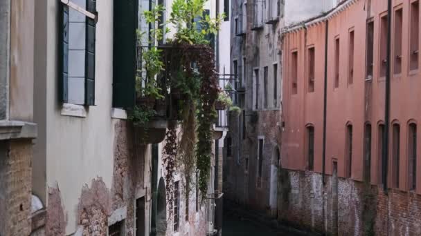Smala kanaler i Venedig, vattenkanal mellan färgglada hus med blommor — Stockvideo