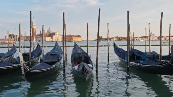 Docked Empty Gondolas on Wooden Mooring Piles, Wenecja, Włochy. — Wideo stockowe
