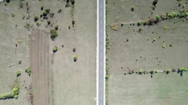 緑のフィールドの間の高原の空のアスファルト道路のトップ空中ビュー — ストック動画