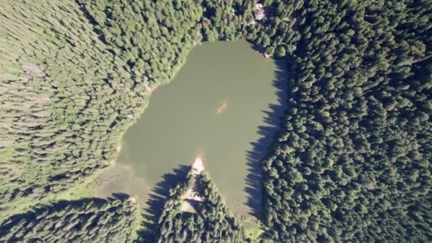 Aerial View of Synevyr Lake in Carpathians, Ukraine, Europe — 图库视频影像